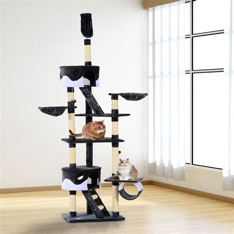 It is meant for cats up to 15 pounds, so it should last for years. . Ebay cat tree
